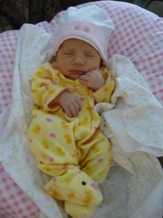 Madeline -July Snoozie.JPG