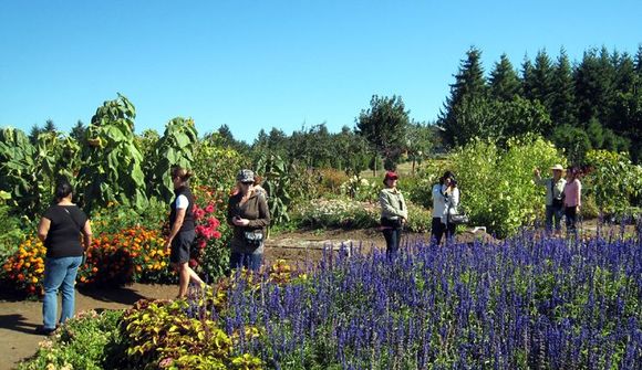 09 the gardens.jpg