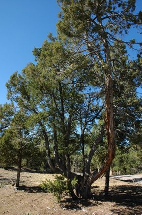 DSC_0166.JPG
