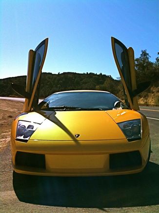 shiny front