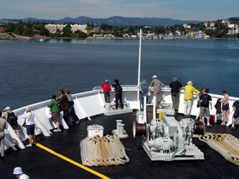 Coho arriving 1.jpg