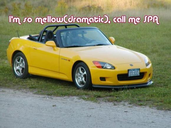 SPA Mellow.jpg