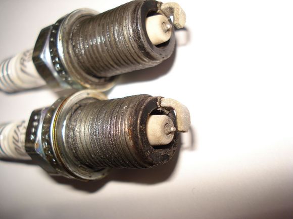 plugs S2000.JPG