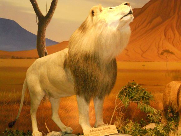 DSCN0376.JPG