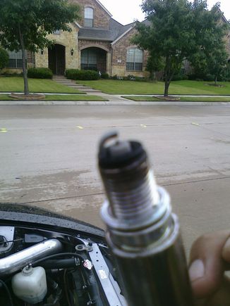 plugs2.jpg