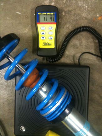 Bilstein rear stock weight