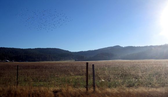 IMG_3346.JPG