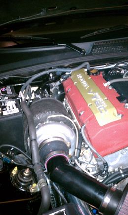 IMAG0030.jpg