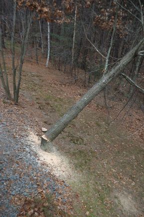 DSC 0029