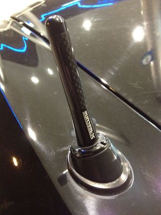 Carbon Antenna