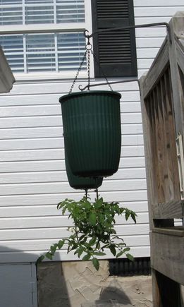 IMG 2256