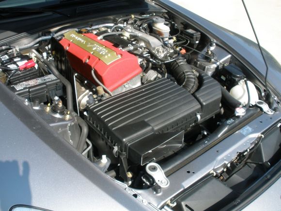 P8032731