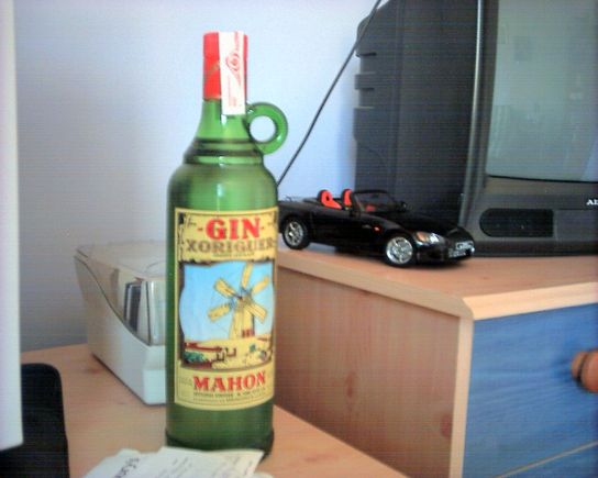 Gin 1.JPG