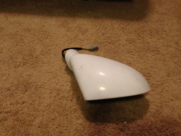 IMG 1504