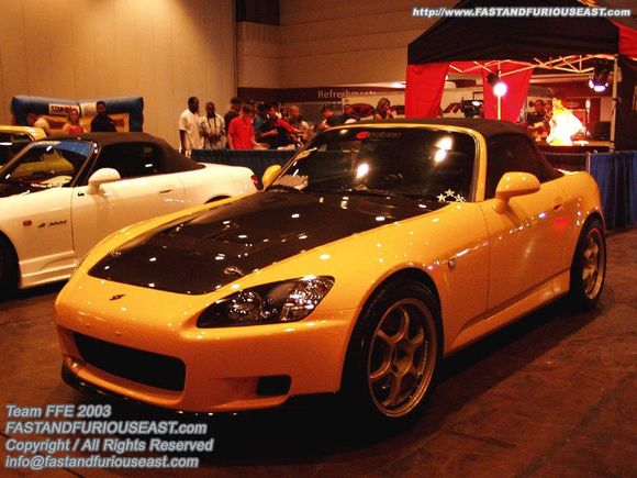 IXORLANDO2k3181.jpg