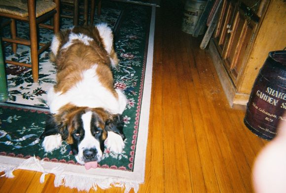Tigger 1.jpg