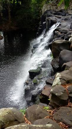 Rochester  waterfall3