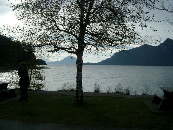 IMGP4842.JPG