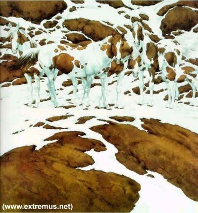 att00037.jpg