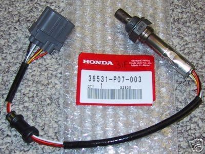 Honda wideband.jpg