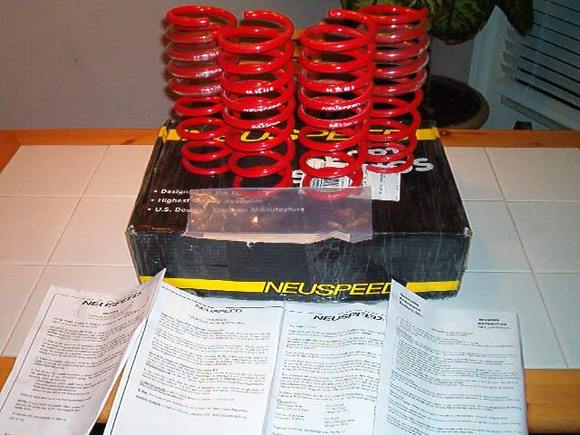 Neuspeed Springs 003.jpg