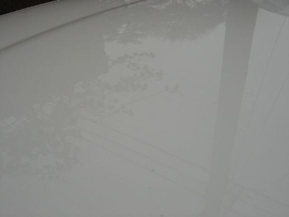 DSC01377.JPG