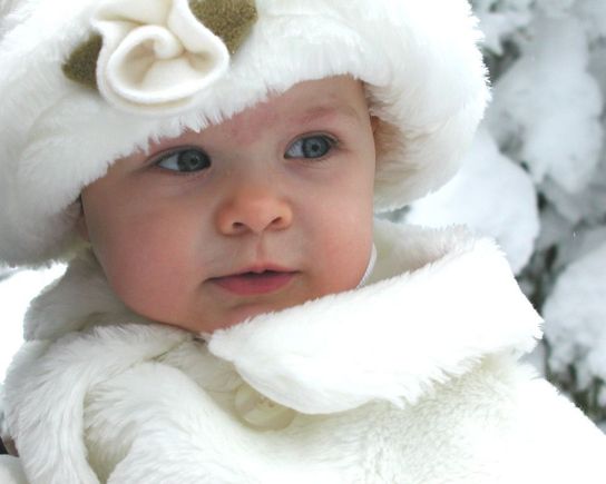 Winter Ani Large.JPG