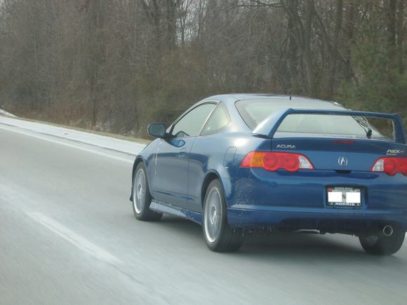 BLUE on the run.JPG