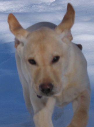 1maggie01-31.jpg