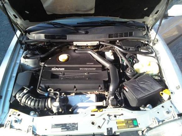 downsized 0313091754a