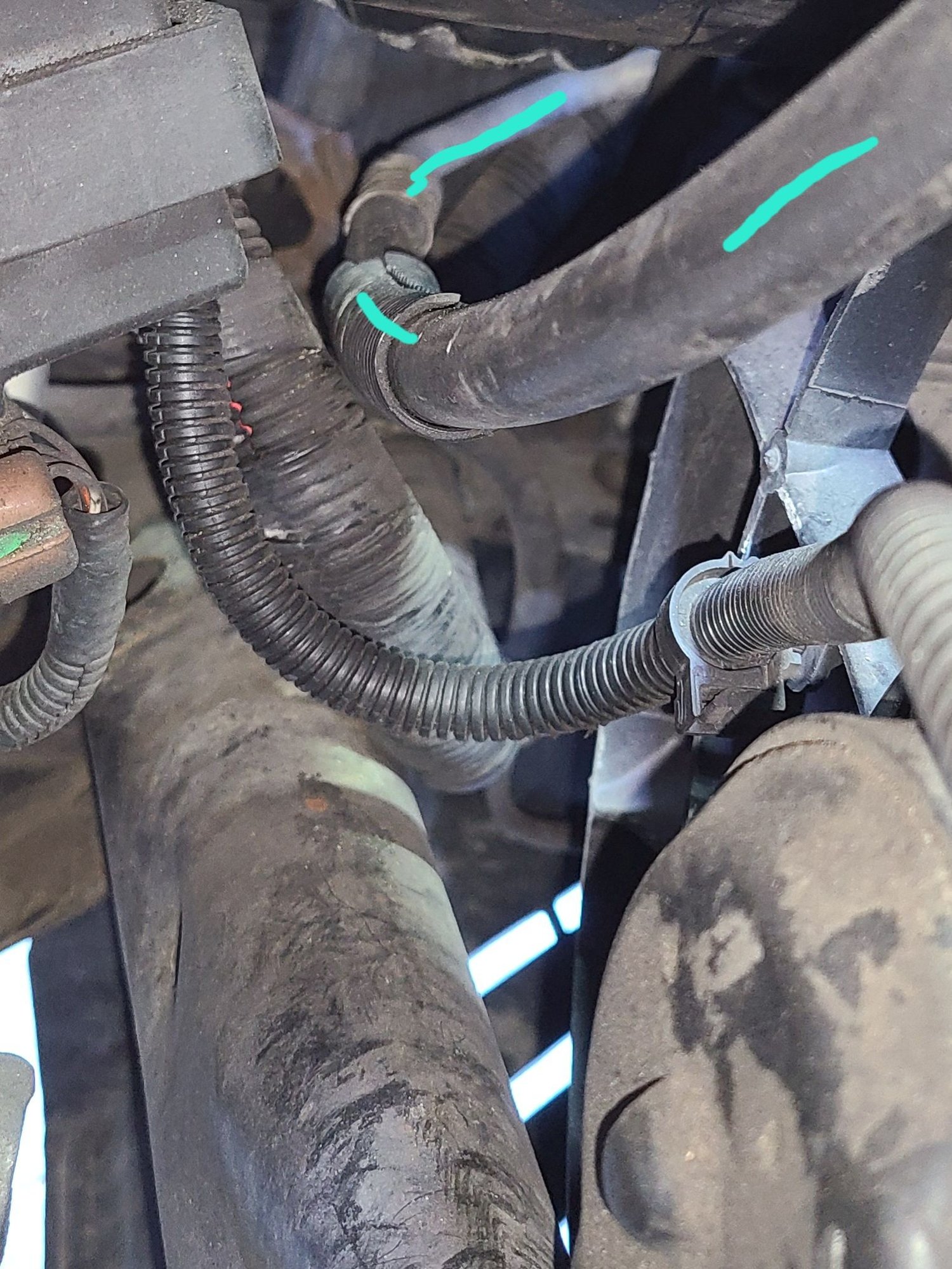 Then the hose routes toward the front of the vehicle, near the driver side headlamp.