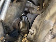 I just bought my first ever Saturn ion 2.4 and it makes like a rattle noise coming from that piece that I circled after the exhaust manifolds. Anybody know where the part leads to? And where I can get a replacement. The rattle is on and off and whenever I hold it in place with something it stops and once I let go it continues to rattle.