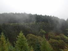 DSC 0424