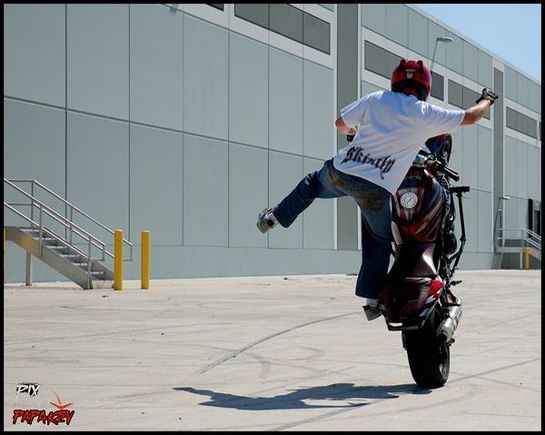 dizzlestuntz.com , koncretekhaos.com , dan laird , ashley trombello