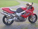 Supershiny Superhawk