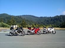 Roadtrip 2009 - Redwood Forest, CA.