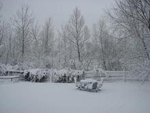 IMG 5695b