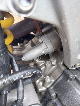Rear Chain Tensioner