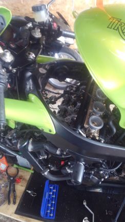 The timing is spot on...I better pull the oil pan, it needs a gasket anyway....