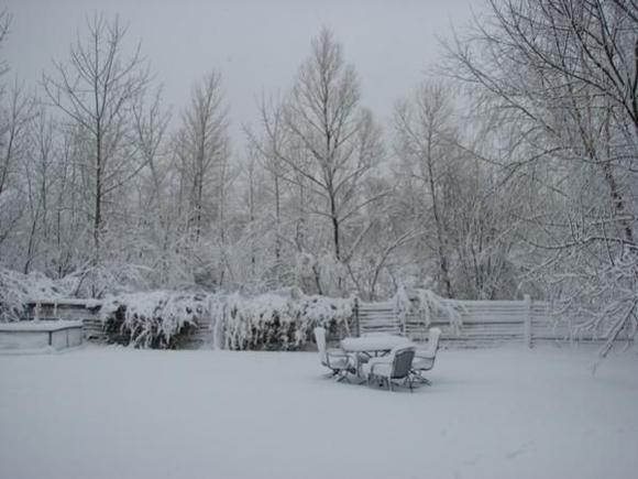 IMG 5695b