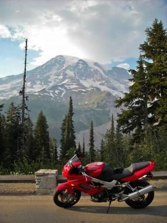 RainierRoadside4 (480x640)