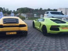 Ahmed Al-Harthy's Neon Green Lamborghini Aventador LP 700-4 along with other cars such as the Yellow Lamborghini Huracan LP 610-4 and Dodge Viper ACR. Location: Muscat, Oman.