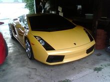 Gallardo