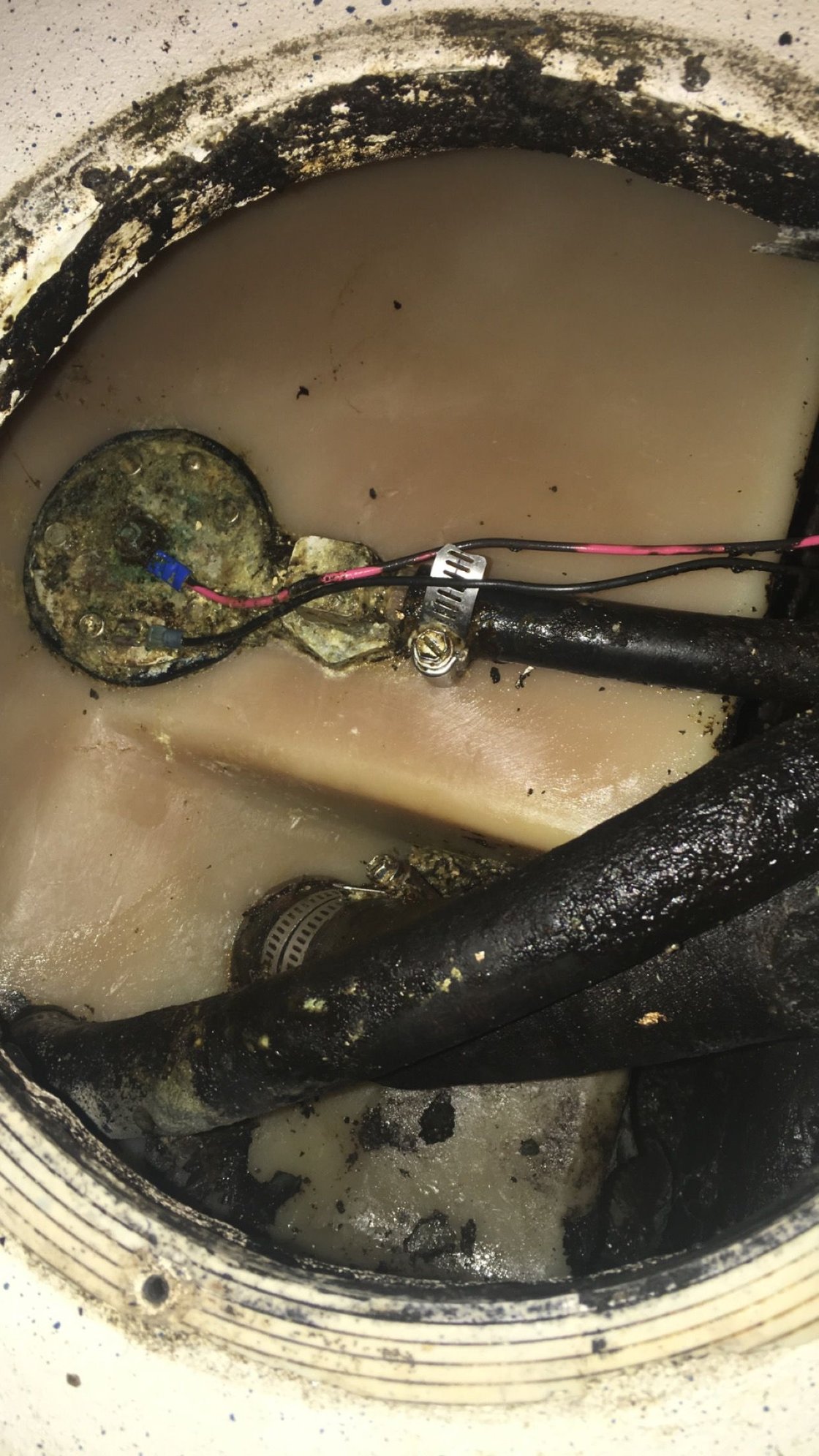 First boat gas odor in the bilge The Hull Truth Boating and