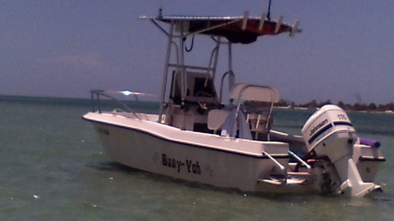TTop vs. Bimini new 20ft CC Page 2 The Hull Truth Boating and