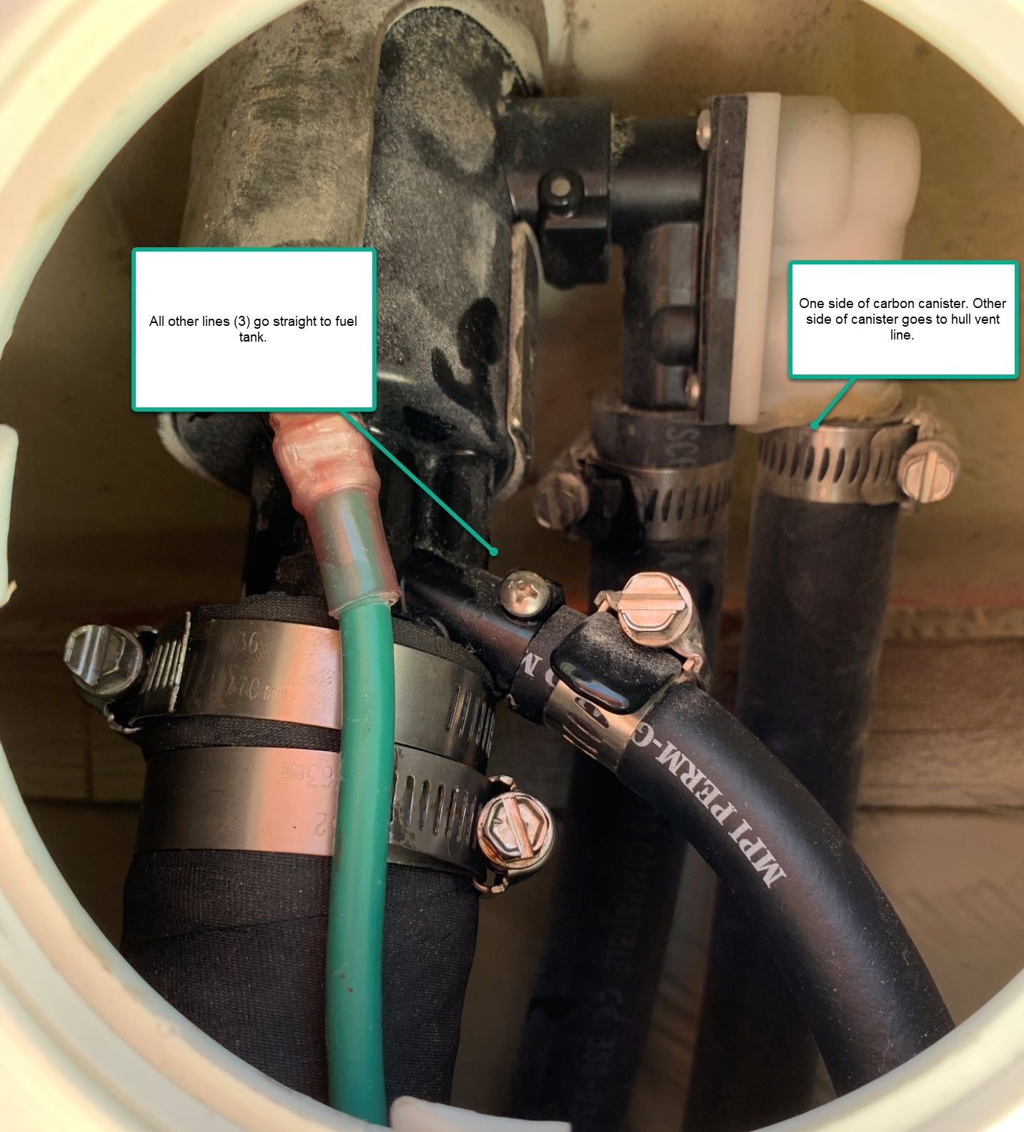 Carbon Canister bypass The Hull Truth Boating and Fishing Forum