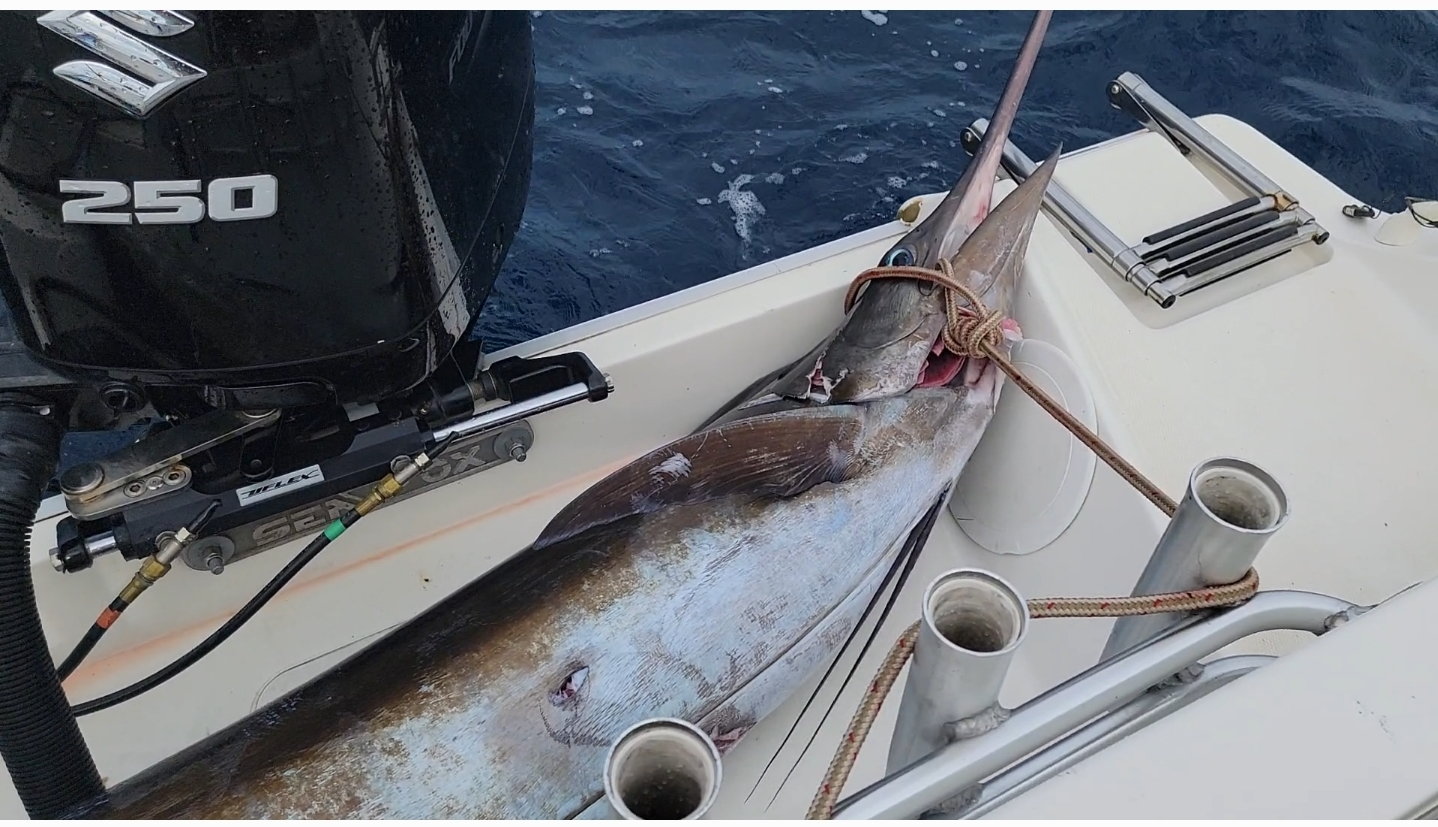 Billfishing out of a center console - The Hull Truth - Boating and