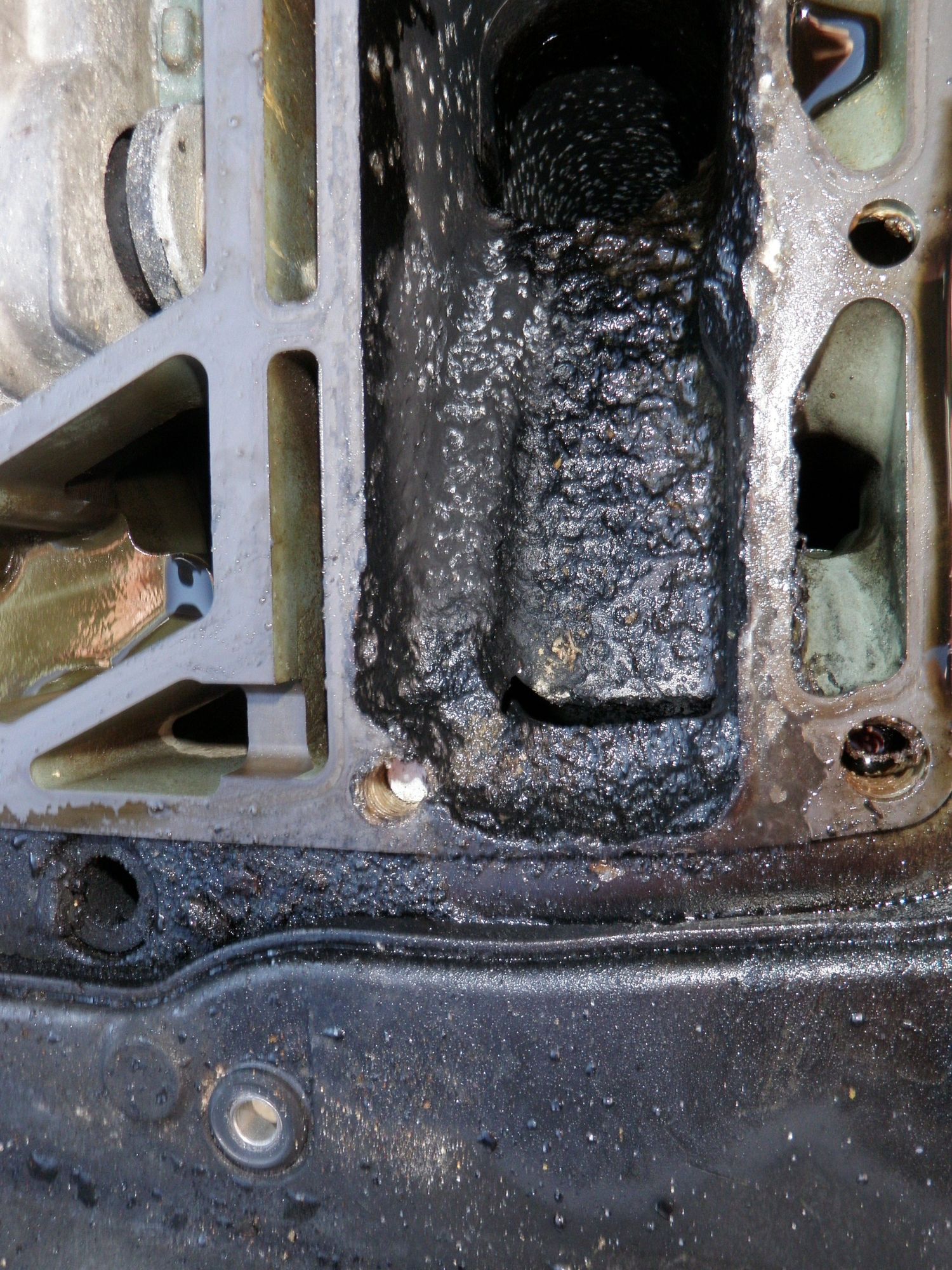 One more yamaha corrosion? I promise The Hull Truth Boating and