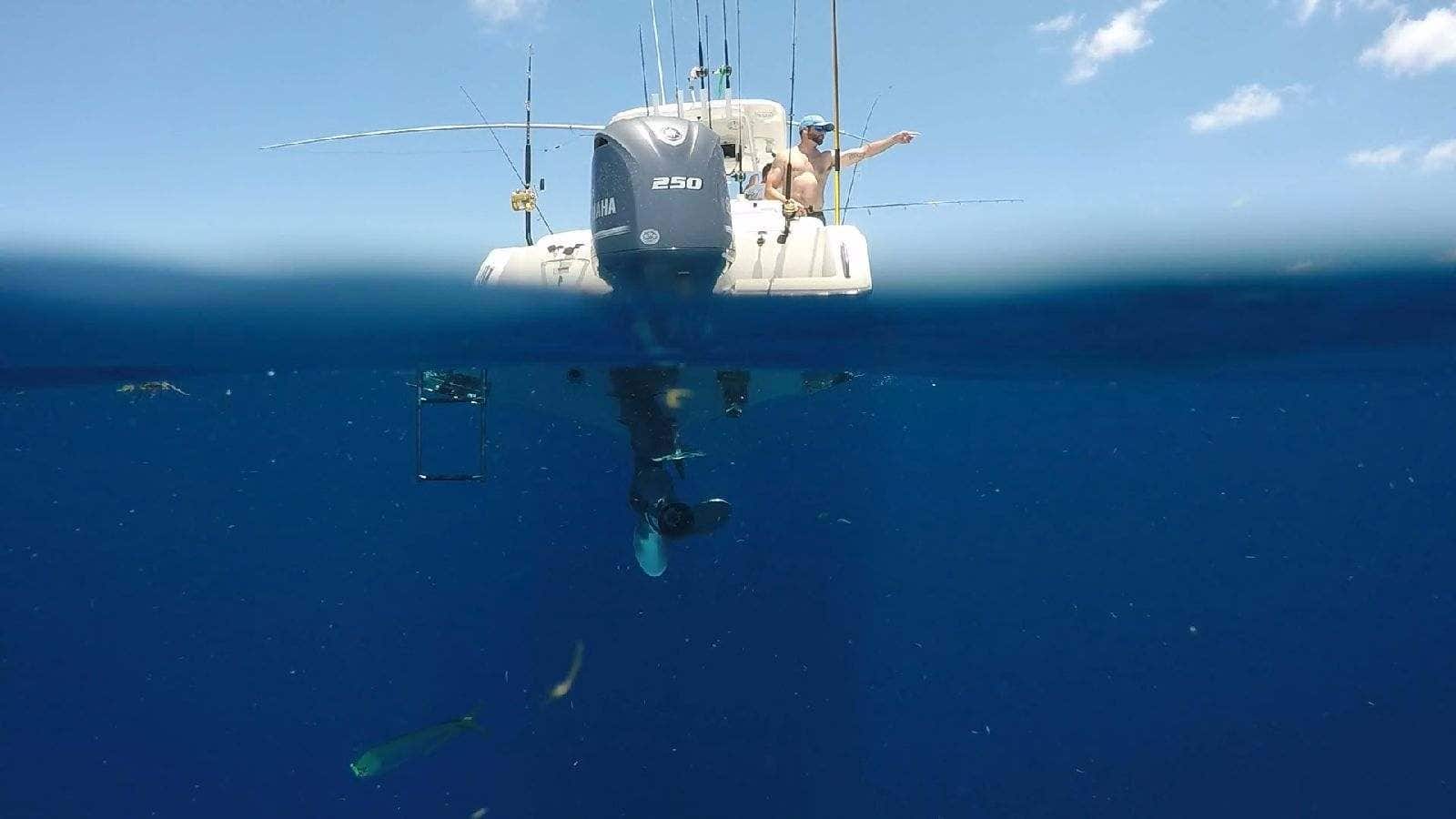 Spearing an African Pompano - on a Hawaiian Sling - Freediving Spearfishing  