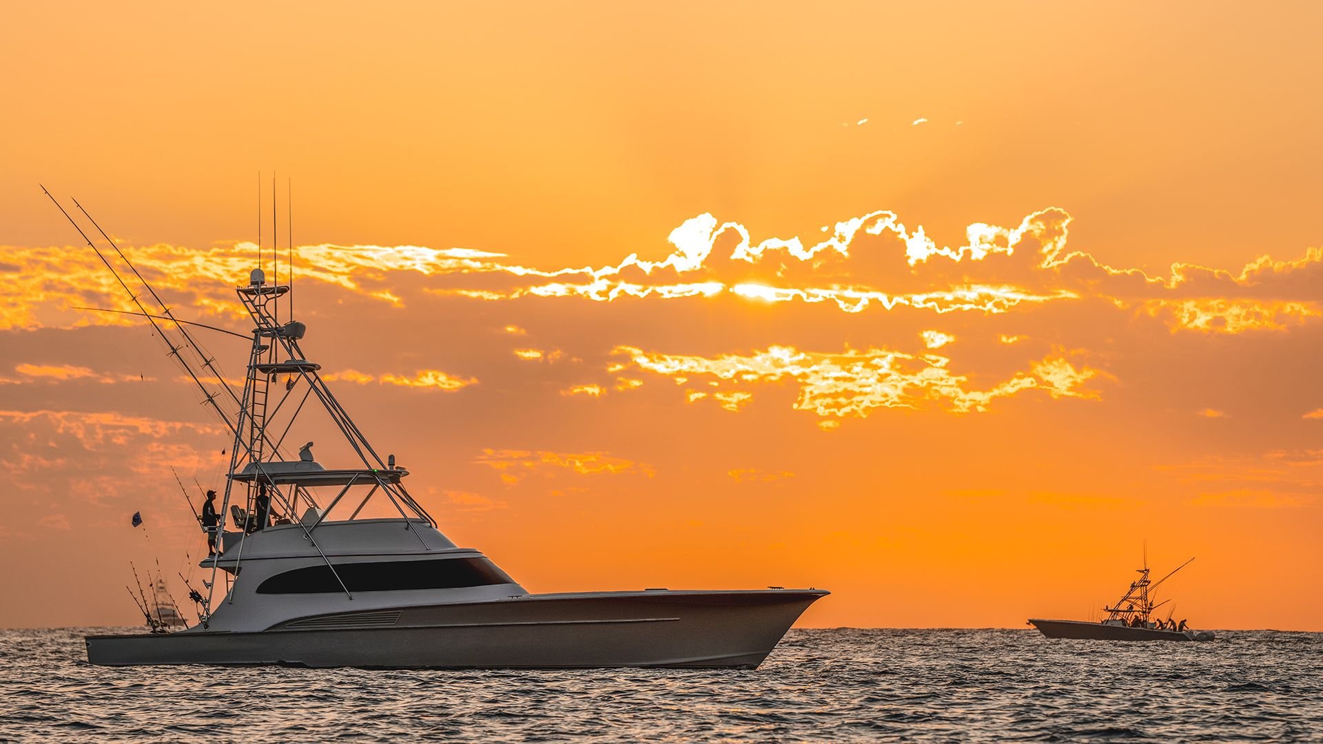 Bisbees Black And Blue Photos The Hull Truth Boating and Fishing Forum